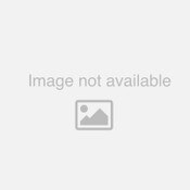 Single Handle Pull Down Kitchen, Chrome